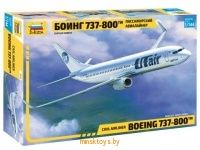 Пассажирский авиалайнер Боинг 737-800™, Звезда 7019з