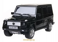 Машина на пульте управления Mercedes-Benz G55 1:24, Rastar 30500